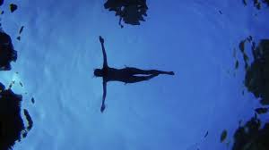 Generally dolphins will not remain more than half a minute submerged underwater before returning to the surface. How Long Can You Hold Your Breath Underwater Longer Than You D Think Quartz At Work