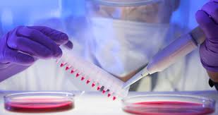 They are equipped for making you go to an. The Most Successful Cancer Drugs In 2019 Proclinical Blogs