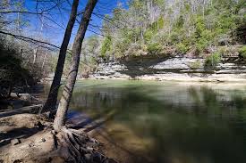 We chose to visit based on indiana joe's post on google. Hikes In Bankhead National Forest Al Trailhead Traveler