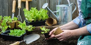 21% off 12pcs auto drip irrigation watering system adjustable watering spike garden plants flower watering kits automatic waterer tools 29 reviews cod. Squires Garden Centres A Family Business Since 1936