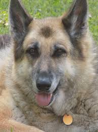 Happy 10th Birthday Bella! Gosh how I love her so much!