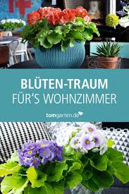 Fruhling Im Wohnzimmer In 2020 Wohnzimmer Pflanzen Pflanzen Fruhling