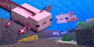 Minecraft axolotls generated randomly, but with this generator you can select and create an exact axolotl color. Minecraft How To Breed Axolotl Game Rant