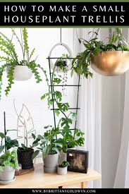May 11, 2021 · a trellis is a simple framework of vertical supports and horizontal crosspieces that is flat and can train plants—like shrubs, small or young trees, or vines—to grow up and against an object. How To Make A Small Trellis For A Houseplant Using Bamboo Stakes