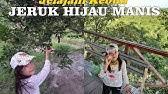 We did not find results for: Wisata Kebun Jeruk Kolam Renang Aik Bukaq Youtube