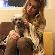 Maybe you would like to learn more about one of these? Hair Of The Dog Home Facebook