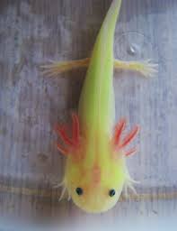 Gfp Leucitic Axolotl They Glow In The Dark Popular Pet In Japan I Hear Axolotl Cute Reptiles Weird Animals