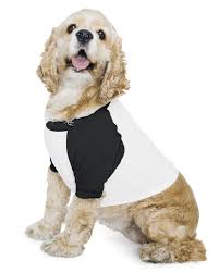 American Apparel Bb953w Poly Cotton Raglan Dog T Shirt