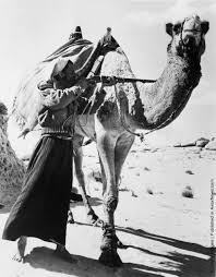 The decline in the overland trade seems to have led to a rise in warfare between the nomadic tribes of the interior. Pin On Fashion