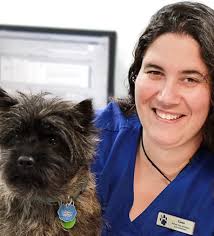 Our Animal Hospital Staff