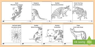Check spelling or type a new query. Mindfulness Australian Animals Colouring Pages Colouring
