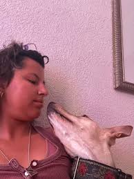 McNab dogs' staring habits and intelligence