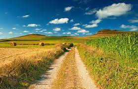 Uhd ultra hd wallpaper for desktop, iphone, pc, laptop, computer, android phone, smartphone, imac, macbook, tablet, mobile device. Filename 3840x2496 Pathway 4k Download Wallpaper For Computer Resolution 3840x2496 File Size 3354 Kb Uploaded Summer Landscape Scenery Country Backgrounds