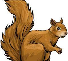 Check spelling or type a new query. Download Hd 24 Squirrel Clipart Soulmates Free Clip Art Stock Illustrations Squirrel Art Transparent Png Image Nicepng Com