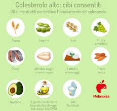 Dieta Per Colesterolo Alto Cosa Mangiare E Cosa Evitare Esempio Di Menu