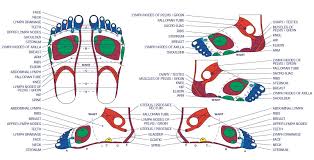 78 perspicuous top of the foot reflexology chart