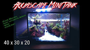 Aquascape is the only aquatic store in dubai that is dedicated to aquascape. 01 Membuat Aquascape Mini Tank 40 X 30 X 20 Tema Tebing Pemula 2020 Youtube