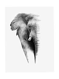 Black And White Elephant Wall Pictures Artistic Black And White Elephant Posters By Donvanstaden At Allposters Com Elephant Print Art Elephant Poster Elephant Black And White