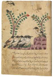 Translated into arabic in 750 ce by a persian scholar, abdullah ibn al muqaffa. Ravens Fine Art Facsimile Single Page Muller Schindler Verlag