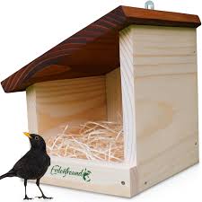 Image result for Flyte Blackbird Nest Box