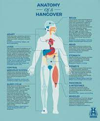 Anatomy Of A Hangover Hangover Heaven Las Vegas Iv Specialists