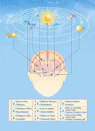 maharishi jyotish program