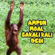  Pin Di Kumpulan Kata Kata