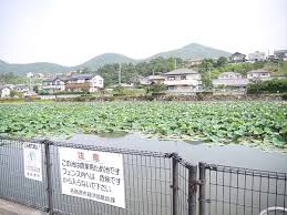 2013年7月のブログ記事一覧 ｋオジサンの気の向くまま