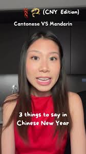 Cantonese Phrases for Lunar New Year Translation