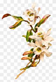 Find high quality cross with flowers clipart, all png clipart images with transparent backgroud can be download for free! Free Png Cross Flowers Clip Art Clip Art Download Pinclipart