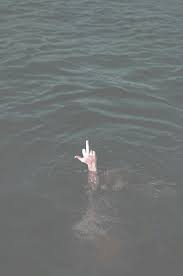 Check spelling or type a new query. Background Grunge And Middle Finger Image 3505784 On Favim Com