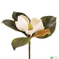Check spelling or type a new query. White Magnolia Short Stem 60cm