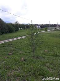 Check spelling or type a new query. Vand Teren Extravilan 10500 0 Mp Rasnov Brasov Publi24