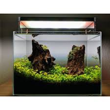 Project evo marine part 4: Das Nano Aquarium Kleiner Blickfang Mit Grosser Wirkung Aquascaping Berlin