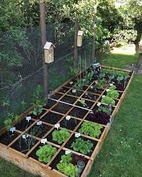 It's better to be thrilled by what you produce in a small garden than be frustrated by the time commitment. Pin On Garden Outdoor