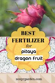 Check spelling or type a new query. 26 Dragon Fruit Plant Ideas In 2021 Dragon Fruit Plant Dragon Fruit Fruit