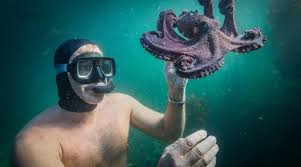 Here are five times it may be wise to have. Why My Octopus Teacher Will School The Oscars Book And Film Globe
