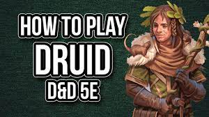 How To Play Druid - Youtube