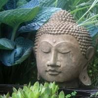 30+ "Glasner" profiles