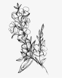 Hand Holding Flowers Drawing Flower Drawing Transparent Background Hd Png Download Kindpng Sketches drawing anime hands art drawings hand sketch sketch book hand drawing reference hand art 30 amazing hand drawing ideas & inspiration. hand holding flowers drawing flower