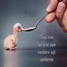 Hizli Ve Kolay Resim Paylasimi Resim Yukle Resim Paylas Hizli Resim Guzel Soz Ozlu Sozler Ilham Verici Sozler