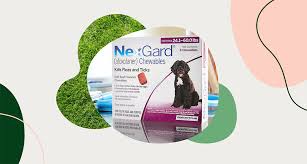 It is also recommended that dogs treated with daily heartworm medication undergo a heartworm test every 6 months. Buying Guide How To Find The Best Flea And Tick Prevention For Dogs Bechewy