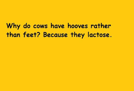 I really milked the internet searching for these mooving jokes. Randomness Archives Page 23 Of 30 The Musings Of Mark Haggan