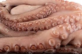 Squid have been updated with a new ai system. Macro Shot Of Whole Frozen Octopus Legs Or Big Tentacles Raw Stock Photo Picture And Royalty Free Image Image 139578601