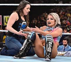 Modern professional wrestling is commonly associated within a. Pin On Wwe Divas ËŽËŠ