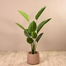 Strelitizia Tree Artificial Tree Artificial Flowers Fake Trees