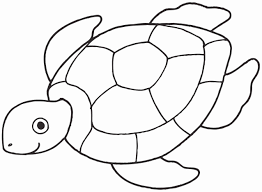 Pin Von Stella Magliarella Auf Berna In 2020 Ausmalbilder Schildkrote Malvorlagen Tiere Malvorlagen