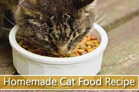Homemade Cat Food Recipe Healthy Cat Food Homemade Cat Food Food Animals