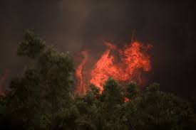 Τελευταίες ειδήσεις τώρα, live ειδήσεις από την ελλάδα και τον κόσμο με το κύρος του skai.gr. 8yzixtfe9uqz8m