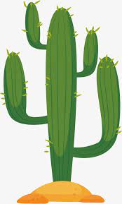 Cacto Do Deserto Cacto Vector Png Ciencia Ambiental Imagem Png E Psd Para Download Gratuito Cacto Do Deserto Arte Com Cactos Cactus De Papel